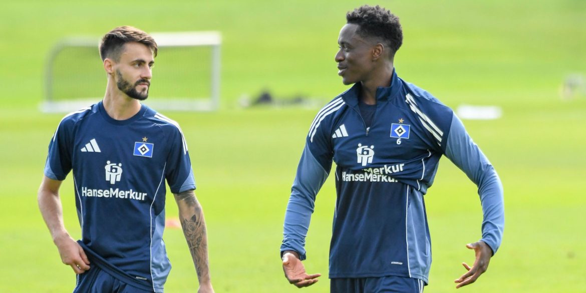 Alle Spieler des HSV einsortiert: Wen kaufen, wen verkaufen?